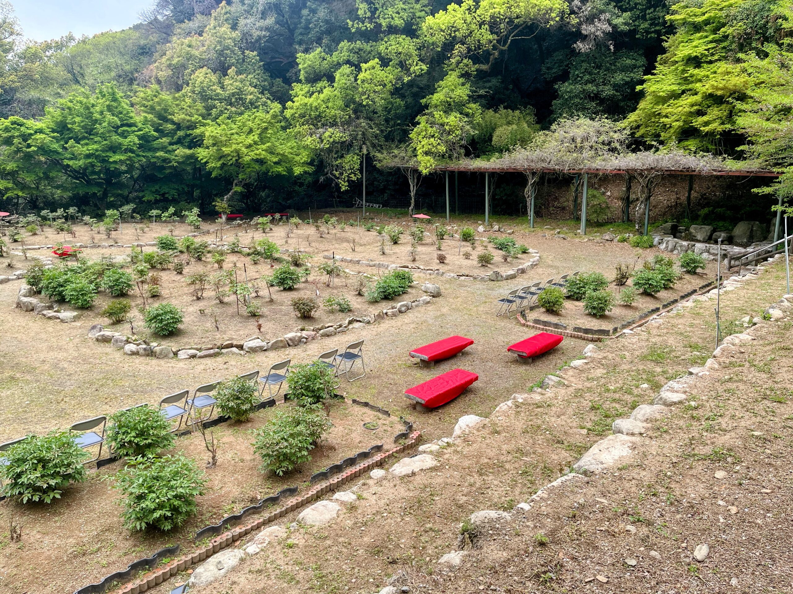 ４月１２日（土）清水山ぼたん園